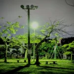 沖縄県宜野湾市のイームイ公園。深夜の雨上がり、静寂の中で一本の街灯に照らされ、濡れて光る木々の風景。